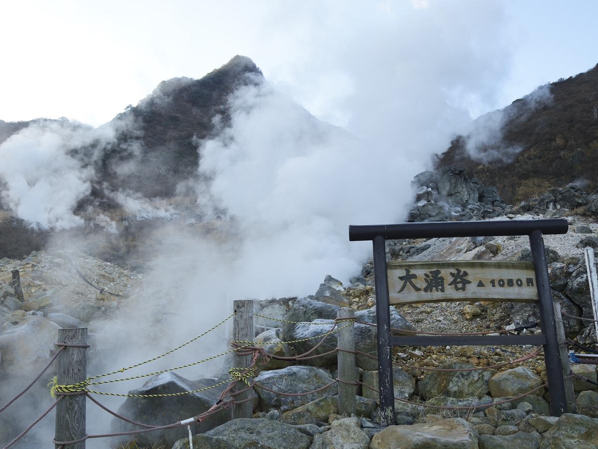 Tkp Lectore Hakone Gora 4*