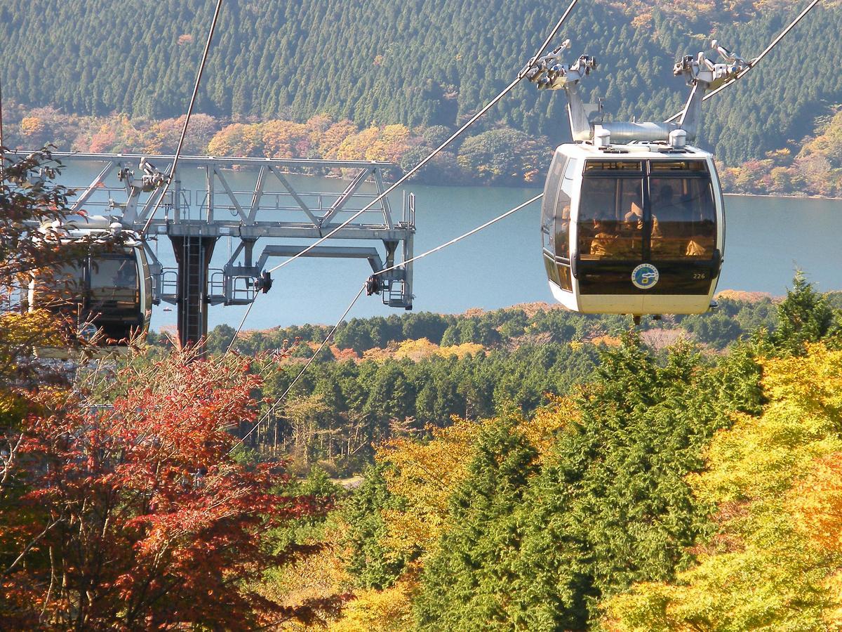 Tkp Lectore Hakone Gora