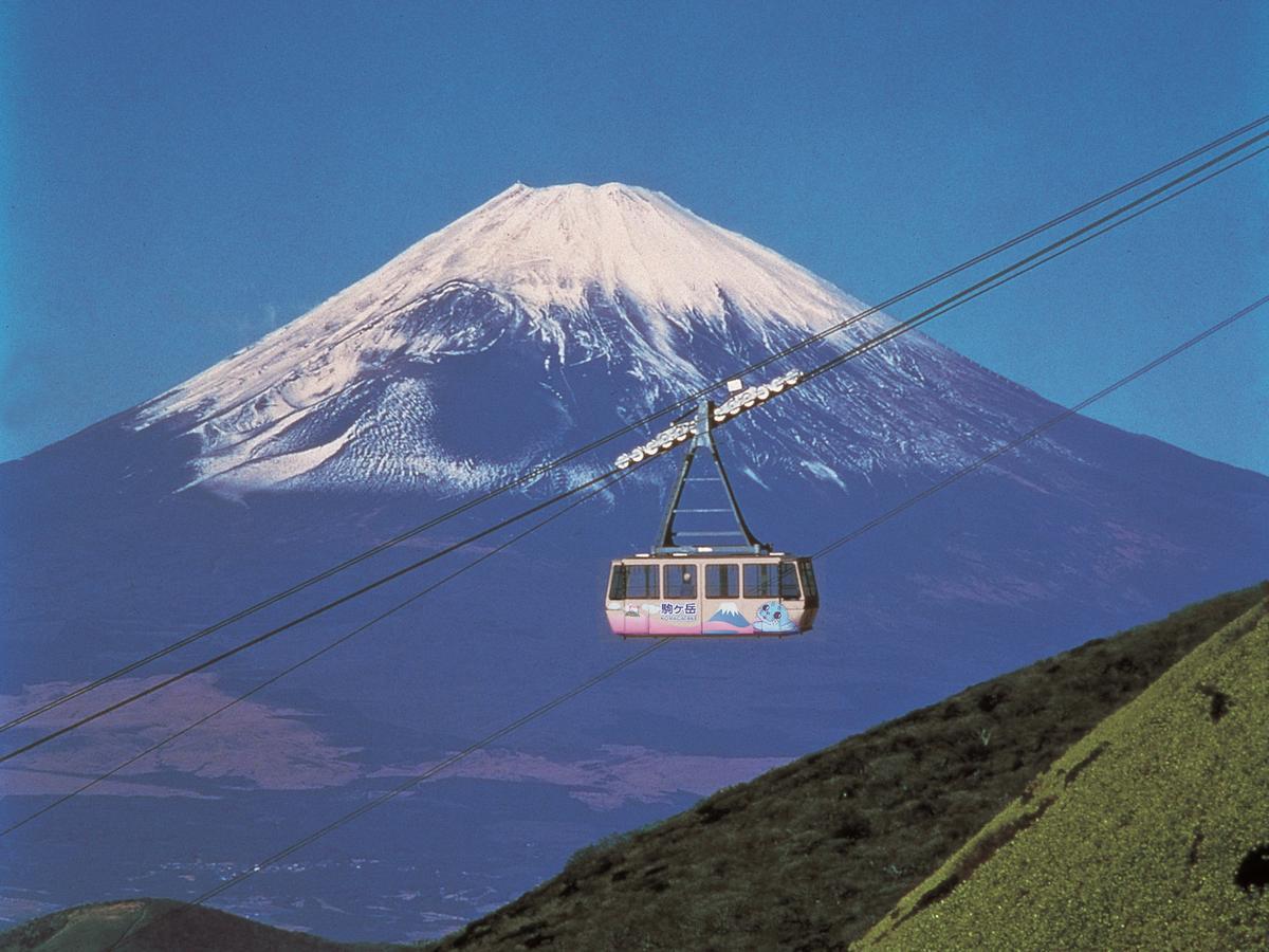 Tkp Lectore Hakone Gora 4*