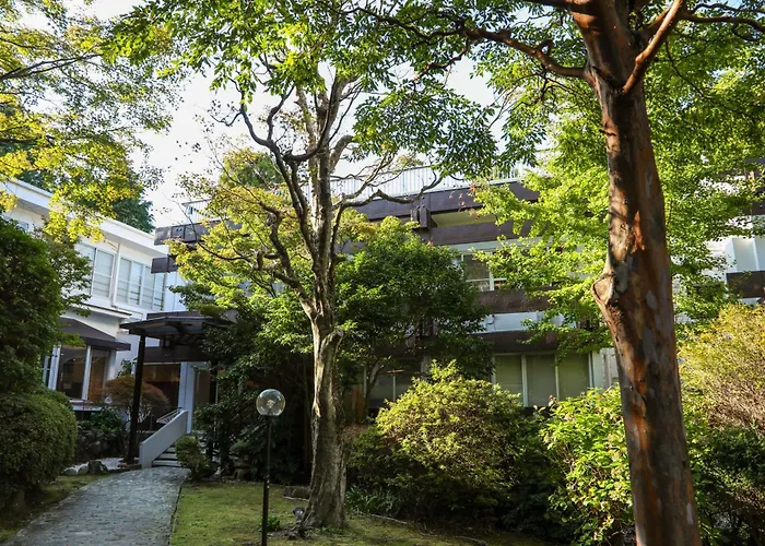 Tkp Lectore Hakone Gora